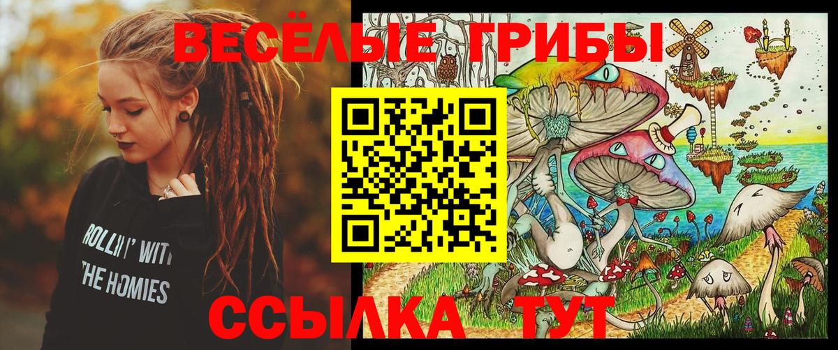 Псилоцибиновые грибы GOLDEN TEACHER Владикавказ